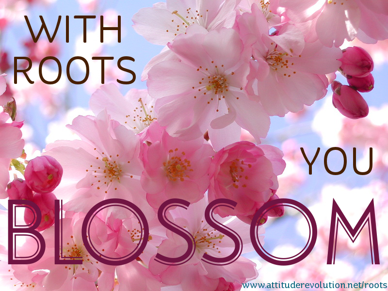 roots=blosom